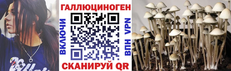 Галлюциногенные грибы мухоморы сколько стоит Павловск